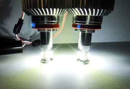 BMW Xenon white H8 32W CREE XP-G LED Angel Eyes / Halo Ring replacement Light / Lamp bulb